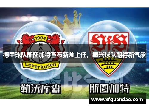 德甲球队斯图加特宣布新帅上任，振兴球队期待新气象