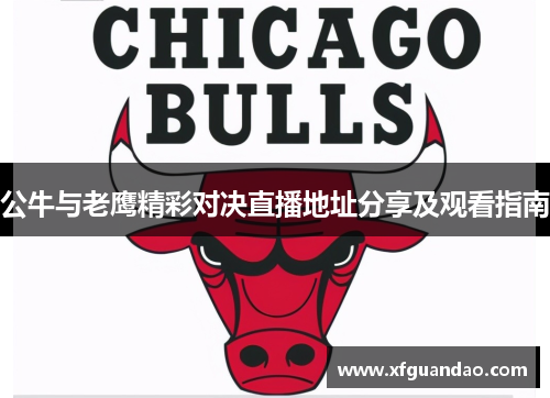 公牛与老鹰精彩对决直播地址分享及观看指南