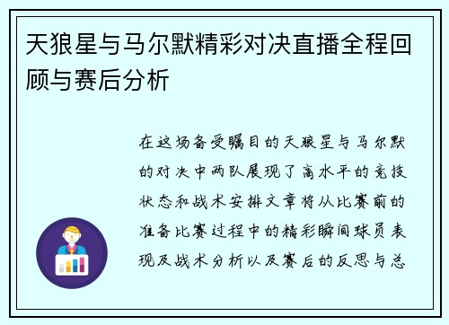 天狼星与马尔默精彩对决直播全程回顾与赛后分析