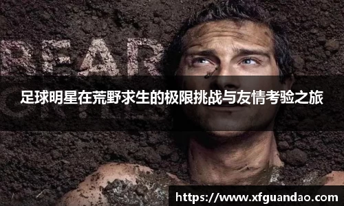 多宝电竞官方网站